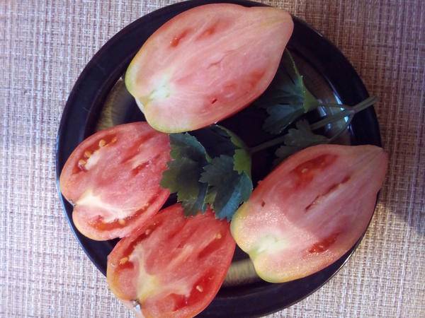Особенности сорта томатов «орлиное сердце»