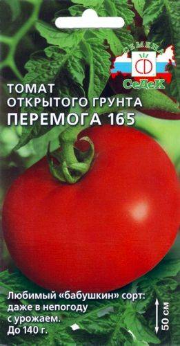 Томат толстушка: характеристика и описание сорта, урожайность с фото