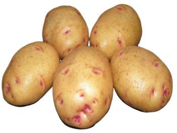 Картофель польза и вред для организма