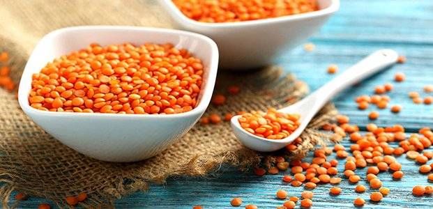 Богатая белком и витаминами чечевица: польза и вред, способы употребления в пищу и для снижения веса