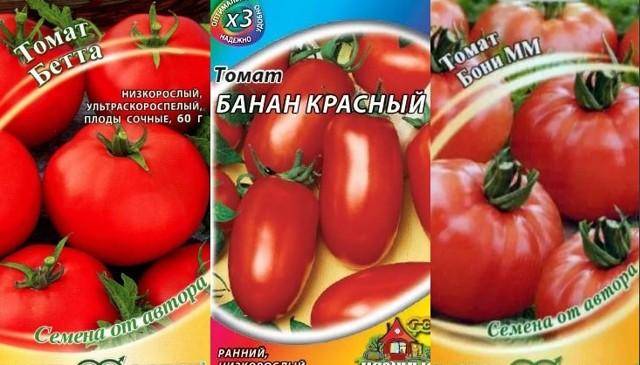 Выбираем низкорослые сорта помидоров