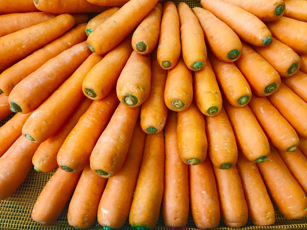 Морковь абако f1: описание сорта, посадка и уход