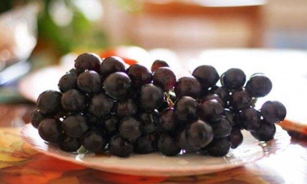 Хранение винограда в течении зимы дома — можно ли в холодильнике