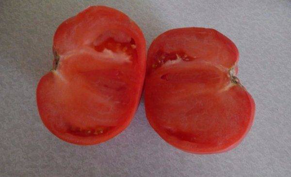 Cорт томатов для северных районов «купола сибири»