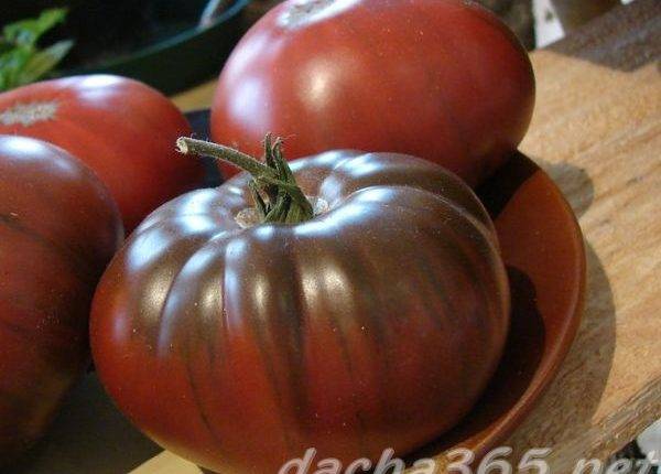 Сорт томата «шоколадка f1»: вкусный, урожайный и красивый