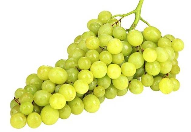 Описание и тонкости выращивания винограда сорта лорано