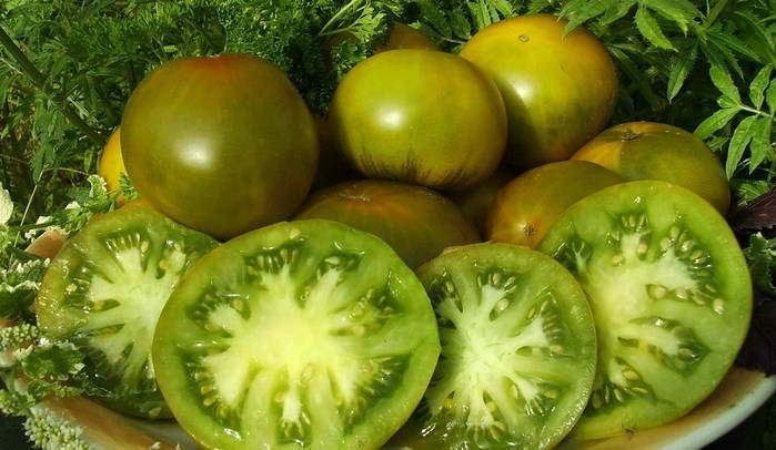 Характеристика и описание сорта томата Изумрудное яблоко, его урожайность