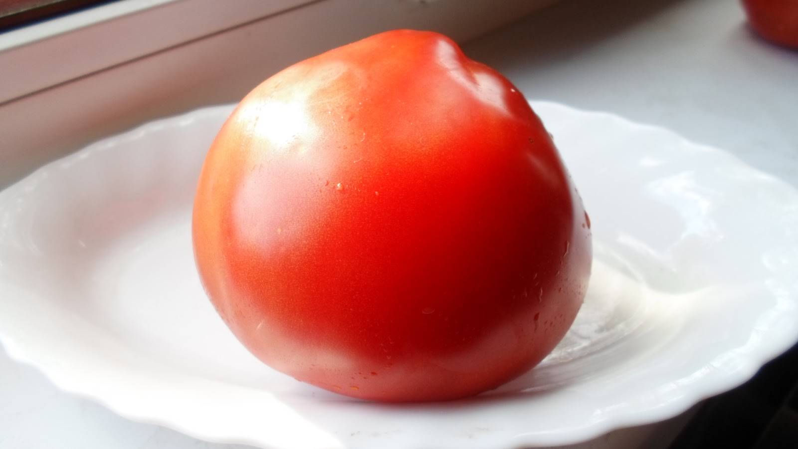 Сорт томата гусиное яйцо
