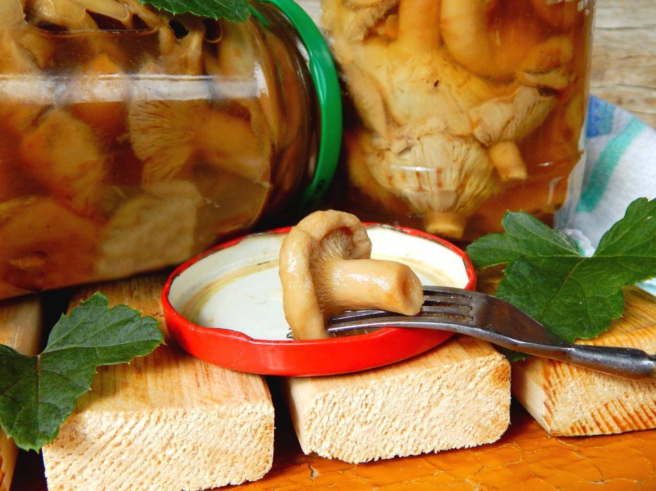 Рецепт: соленые волнушки (горячий способ) - консервация на зиму. как вкусно приготовить волнушки, надолго сохранив их полезные свойства
