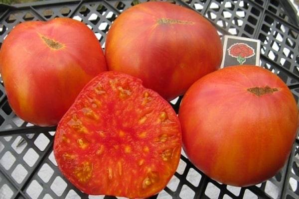 13 проверенных сортов томатов, которые я рекомендую посадить