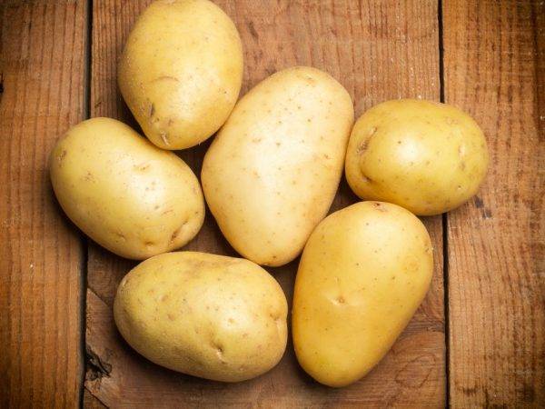 Все о сорте картофеля голубизна: описание и фото, характеристика, особенности выращивания и другие нюансы