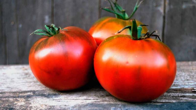 Сладкие и целебные томаты «утенок»: описание сорта, характеристики плодов, рекомендации по выращиванию