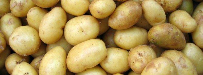 Описание сорта картофеля Адретта, его выращивание и уход