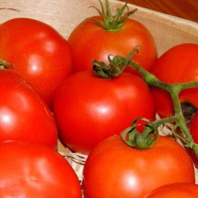 Какие достоинства гибрида томатов «санрайз f1»?