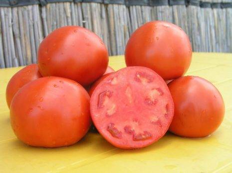 Замечательные вкусовые показатели и достойная урожайность — томат скиф f1: описание и характеристики сорта