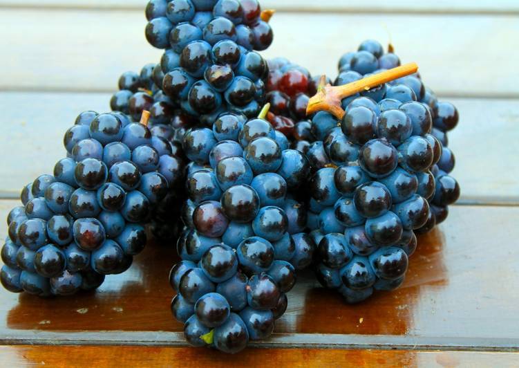 Самогон из винограда в домашних условиях — простой пошаговый рецепт