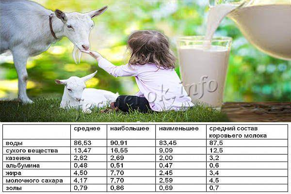 Жирность козьего и коровьего молока и как определить в домашних условиях
