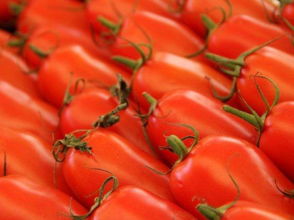 Сорт томата «оранжевое чудо»: фото, отзывы, описание, характеристика, урожайность