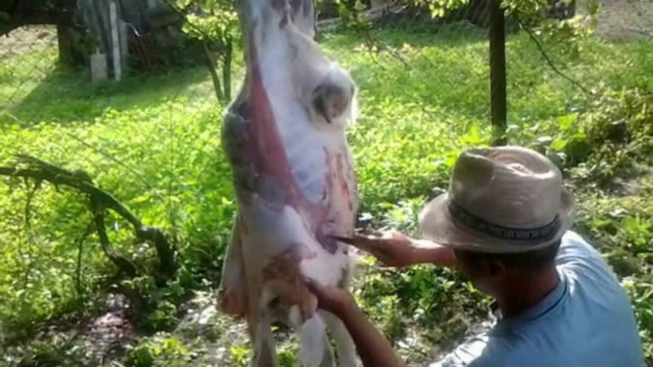 Как зарезать козла