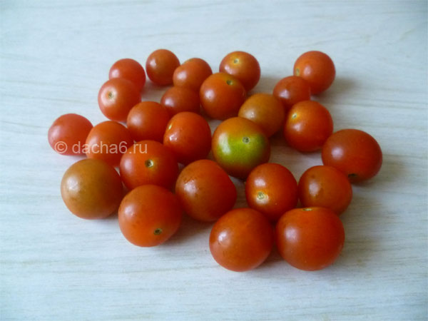 Выращиваем помидорки-конфетки на своем участке: томат «свит черри»