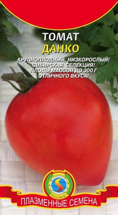 Любимый сердцевидный томат данко: описание сорта, характеристика, фото