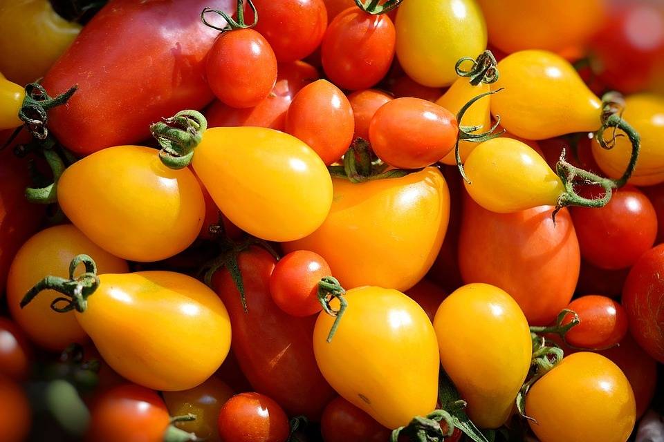 Витамины в помидорах