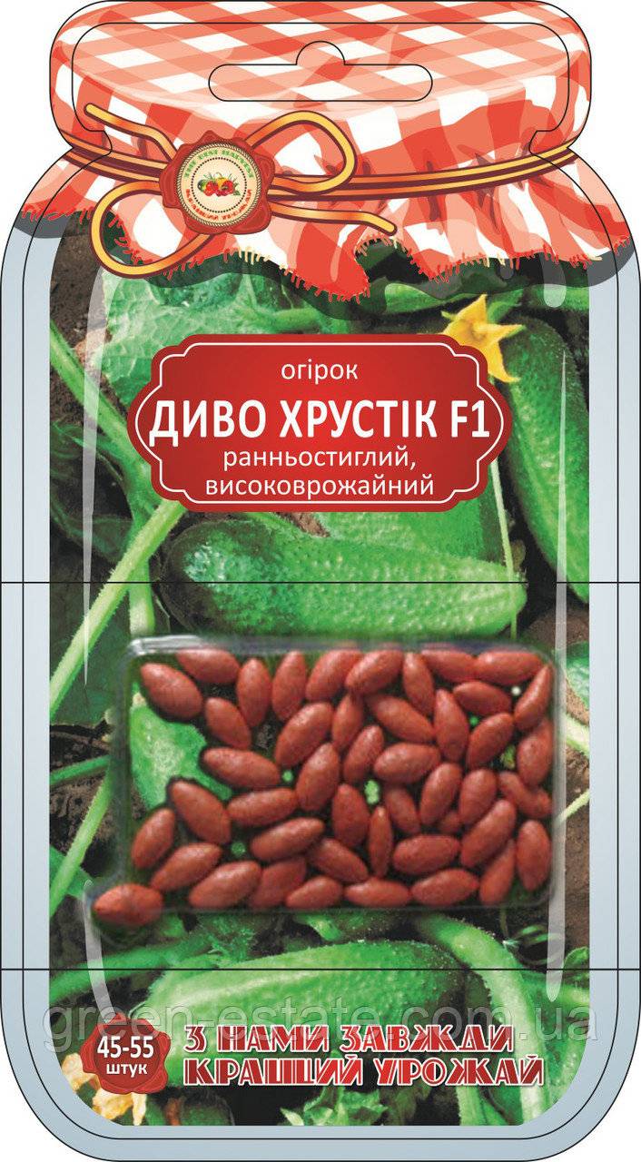 Огурец чудо хрустик: описание и характеристика сорта, урожайность с фото