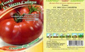 Описание сорта томата золото востока, его характеристика и урожайность