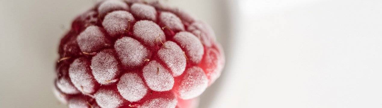 Как заморозить малину на зиму — способы заморозки