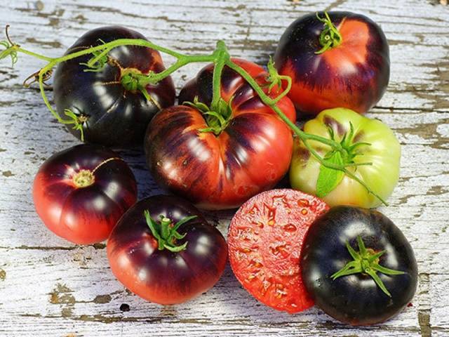 Сорт с устойчивостью к холоду — томат розовая андромеда f1: рекомендации по выращиванию