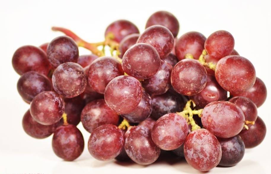 Обзор винограда сорта аркадия: основные характеристики и нюансы агротехники