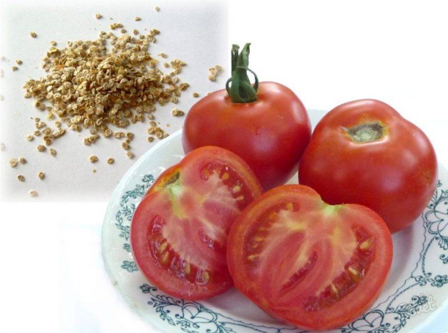 Раннеспелый томат «самара»: описание сорта и фото