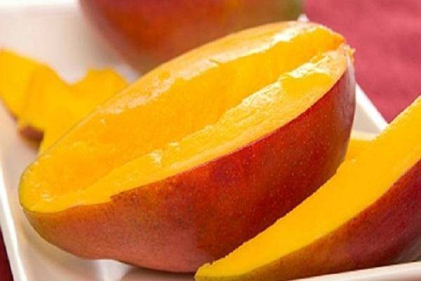 Как выглядит манго: 140 фото и видео выращивания фрукта в домашних условиях. советы как правильно ухаживать за комнатным деревом