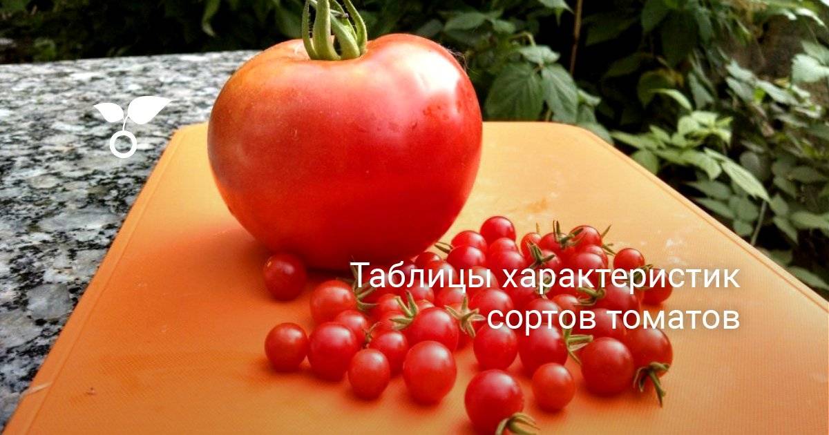 Характеристики и описание сорта томатов «ля ля фа» f1: выращиваем и едим с удовольствием