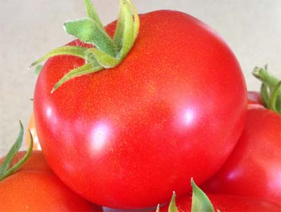 Фото, отзывы, описание, характеристика, урожайность гибрида томата «афродита f1»
