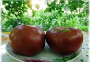 Описание сорта томата Устинья, особенности выращивания и урожайность