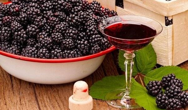 Почему домашнее вино загазировалось и как это исправить, методы предотвращения