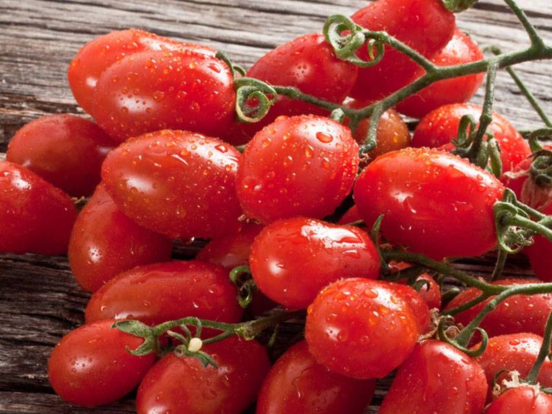 Чем полезны помидоры: польза и вред томатов для организма человека