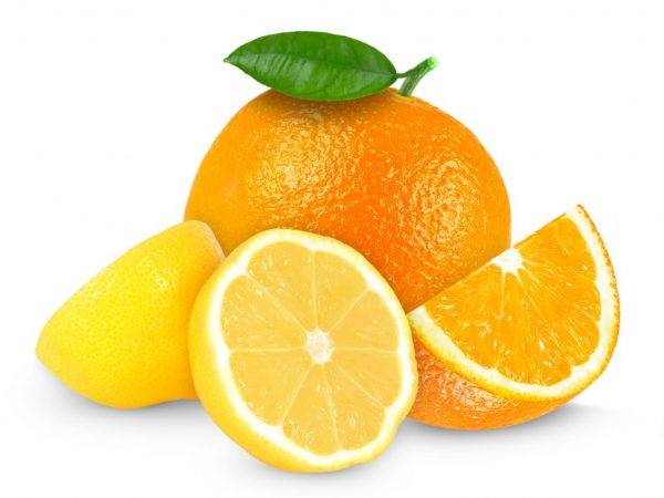 Апельсины: польза и вред для здоровья