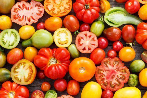 Лучшие сорта безрассадных томатов