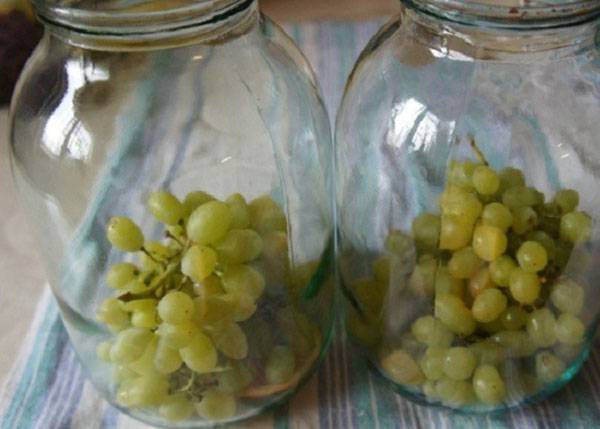 Заготовка виноградных листьев для долмы: солим, маринуем, замораживаем