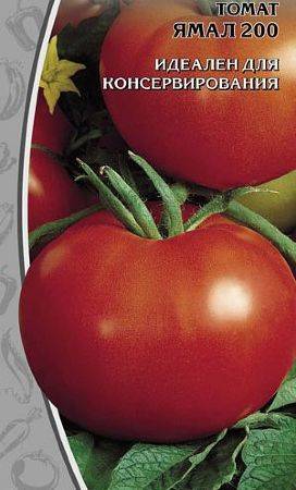 Характеристика и описание сорта томата Ямал, его урожайность