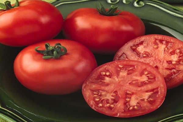 Урожайный сорт томата с высоким иммунитетом — «чемпион» f1: описание и фото