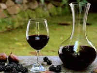 Вино из ревеня в домашних условиях: простой рецепт приготовления, сроки хранения