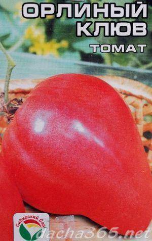 Характеристика и описание сорта томата Орлиный клюв, его урожайность