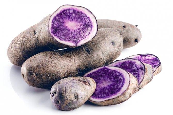 Характеристика сортов фиолетового картофеля и их фото. польза и вред корнеплодов и особенности агротехники