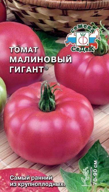Малиновый гигант томат отзывы