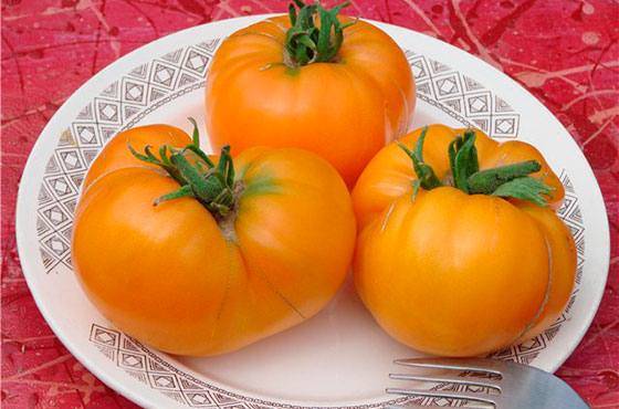 Сладкий томат медовый спас: характеристика и описание сорта