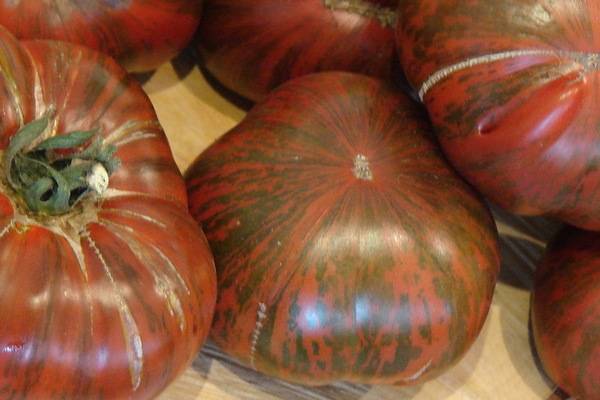 Сорт помидора «полосатый шоколад» или «шоколадные полосы»: фото, отзывы, описание, характеристика, урожайность