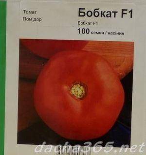 Томат бобкат f1: описание сорта, выращивание, отзывы и фото гибрида